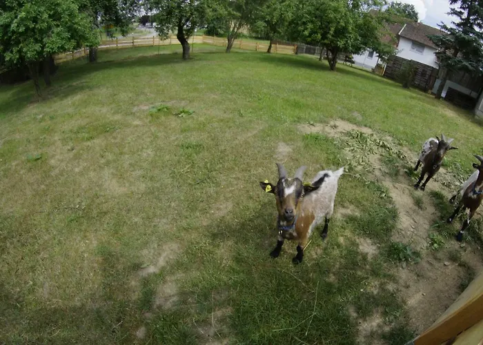 Appartamento Angeln Am Regen - Angelhof Posl *